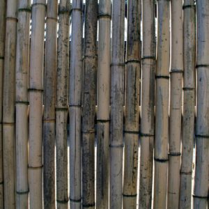 Jehlice výměnné bambusové