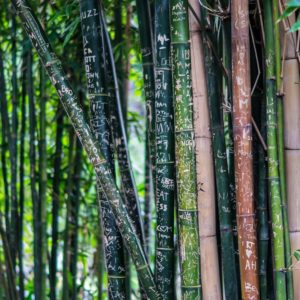 Bambusové kruhové jehlice
